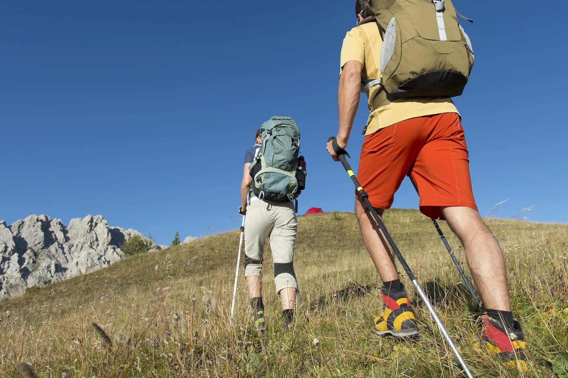 Hikers with backpacks and poles ascending grassy slope toward rocky mountains under blue sky