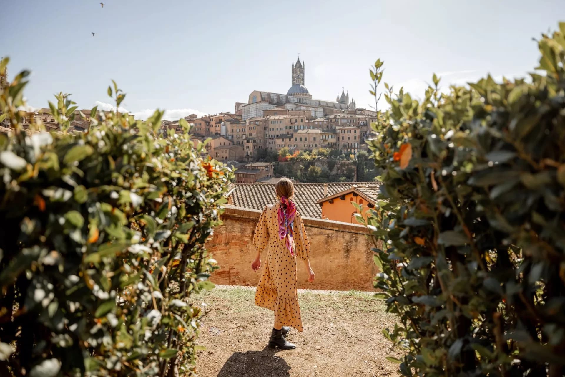 Woman views Tuscan town with cathedral dome, framed by green bushes