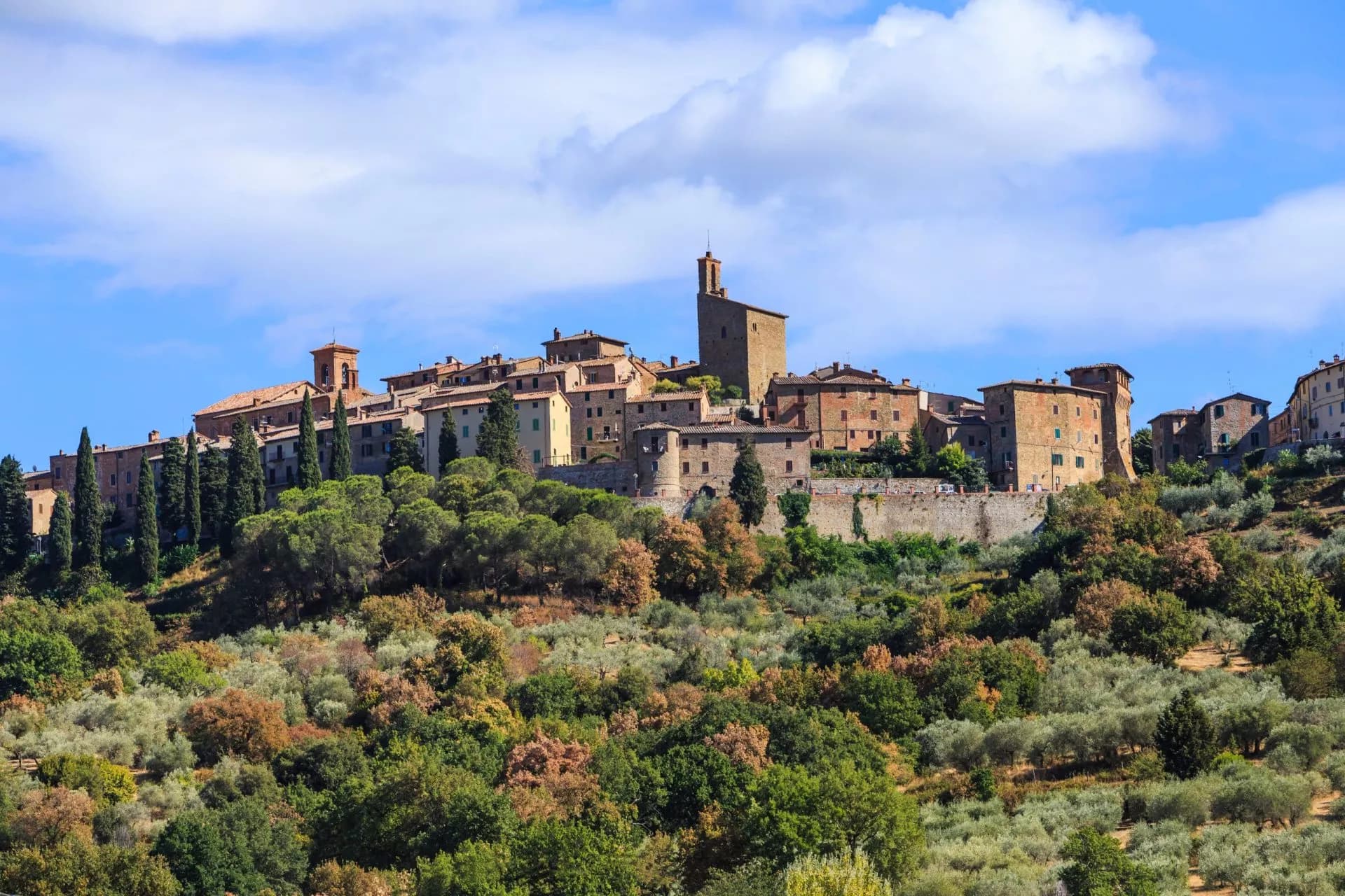 Hilltop medieval town with stone buildings and cypress trees above olive groves under blue sky.