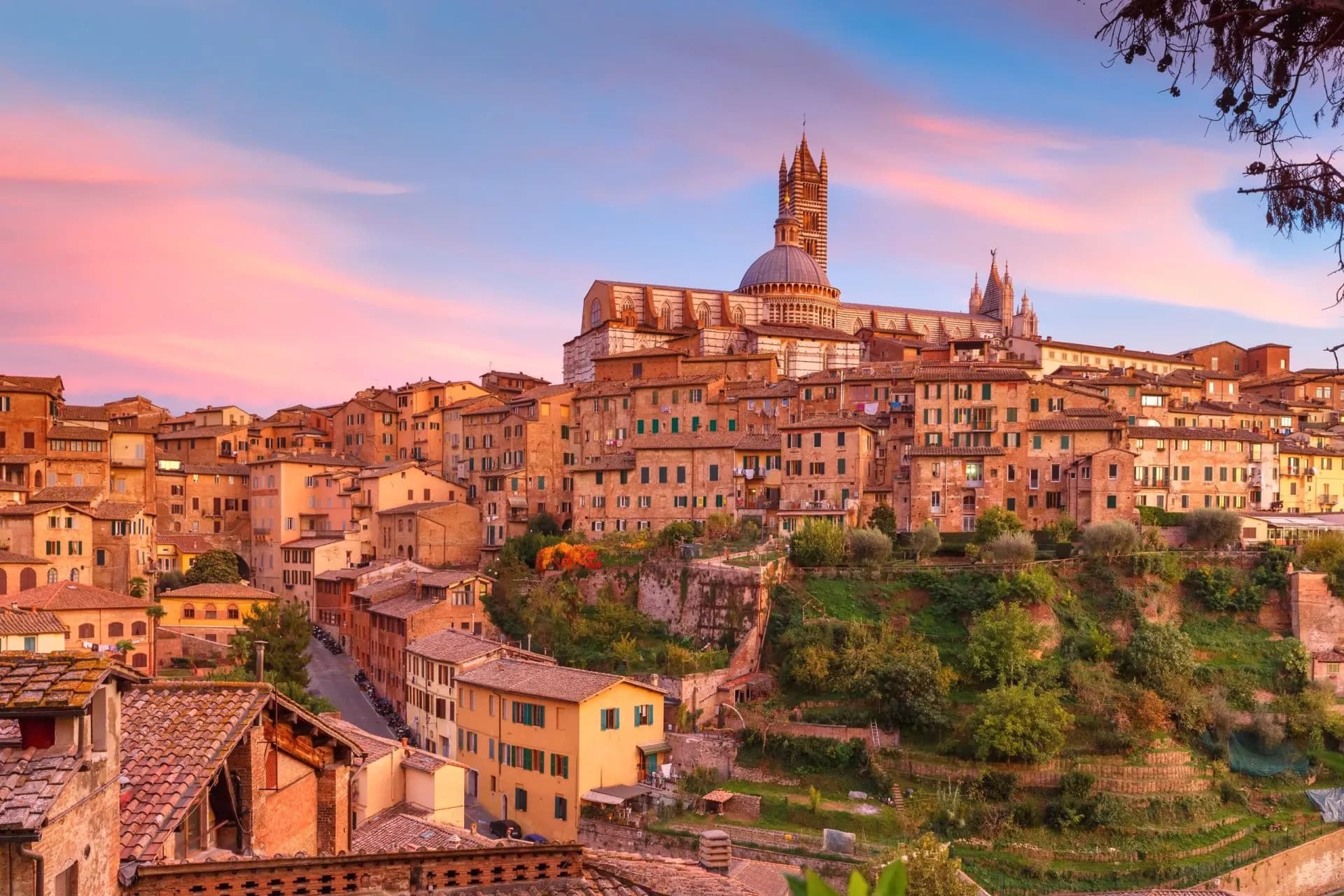 Siena cityscape with terracotta buildings and Duomo at sunset with pink and blue sky