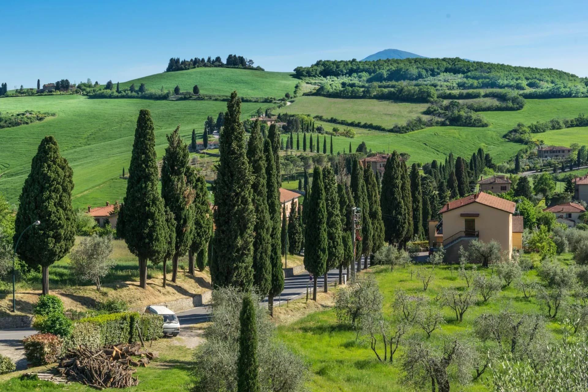 Green rolling hills with cypress trees lining a road near Monticchiello, Tuscany.