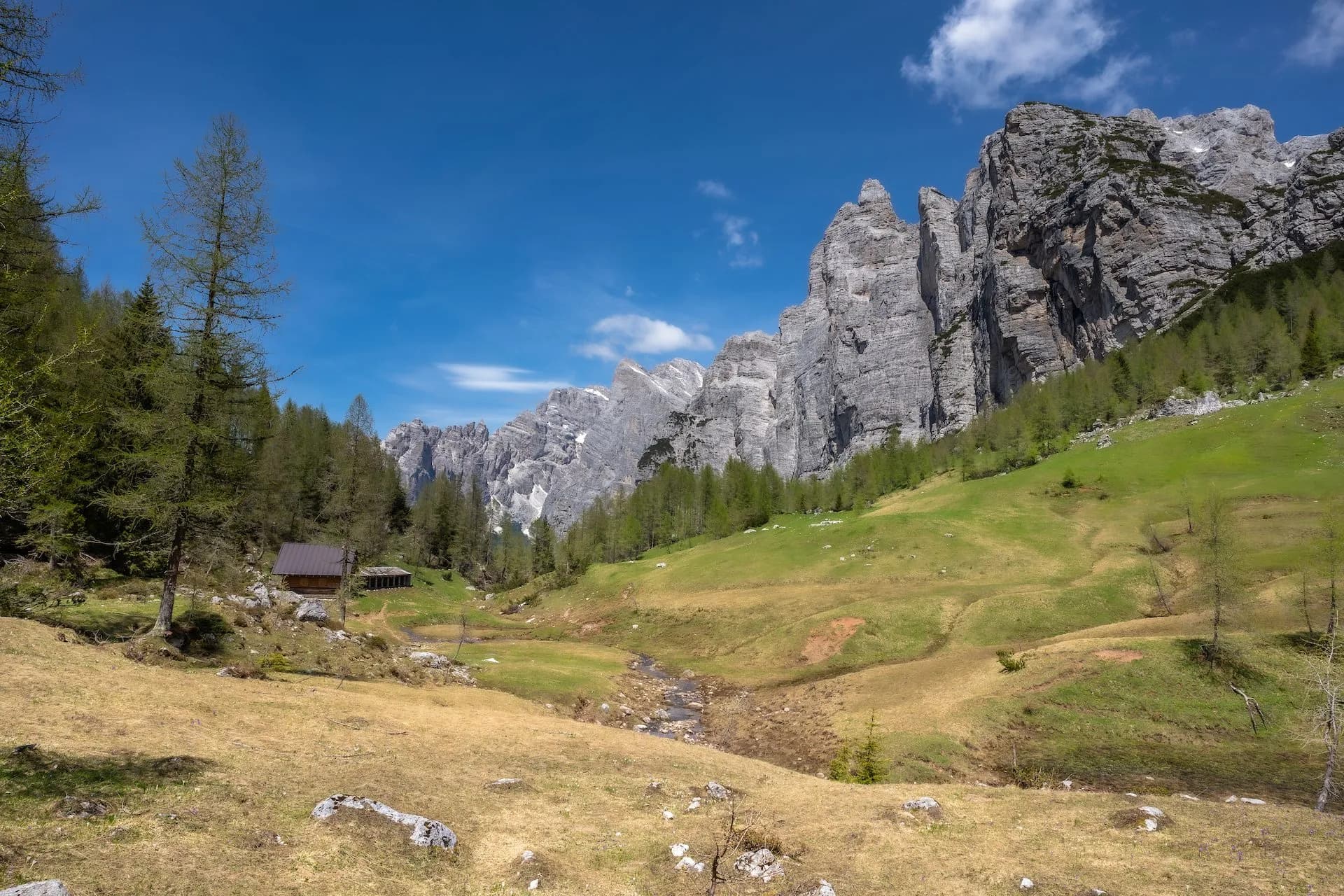Alpine valley with rocky peaks, green slopes, a stream, and a small wooden hut near Forcella Camp Passo Duran.