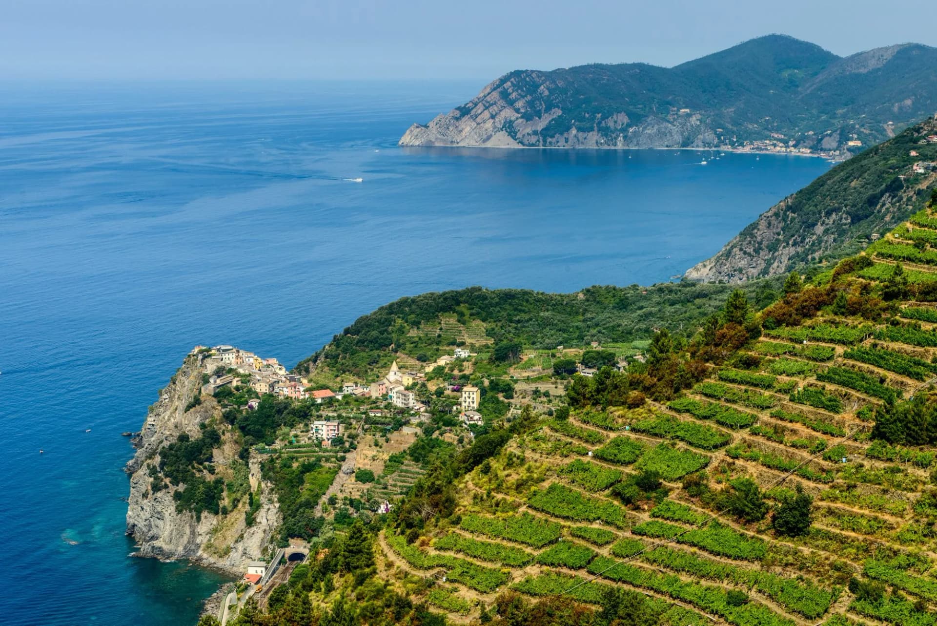 Scenic panorama above Vernazza showing terraced vineyards overlooking the blue Mediterranean Sea.