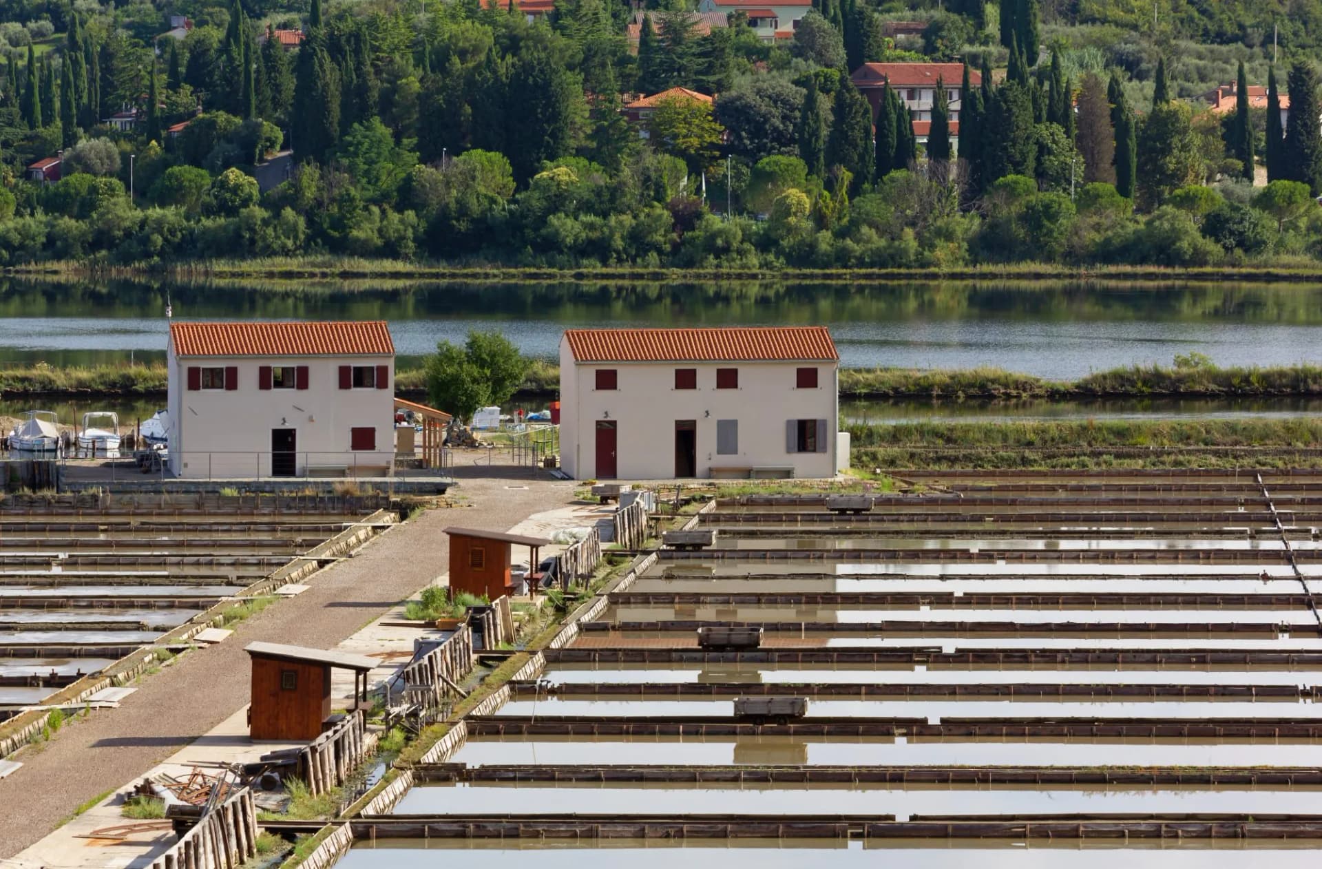 Saltworks in Strunjan, on the Slovenian Istrian coast