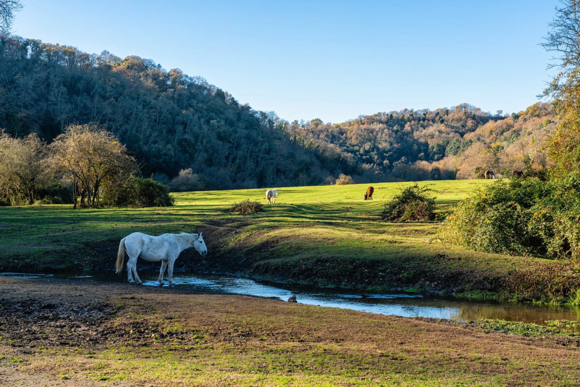 Beautiful scene in the Veio Regional Park, near Formello, Province of Rome, Lazio, Italy.
