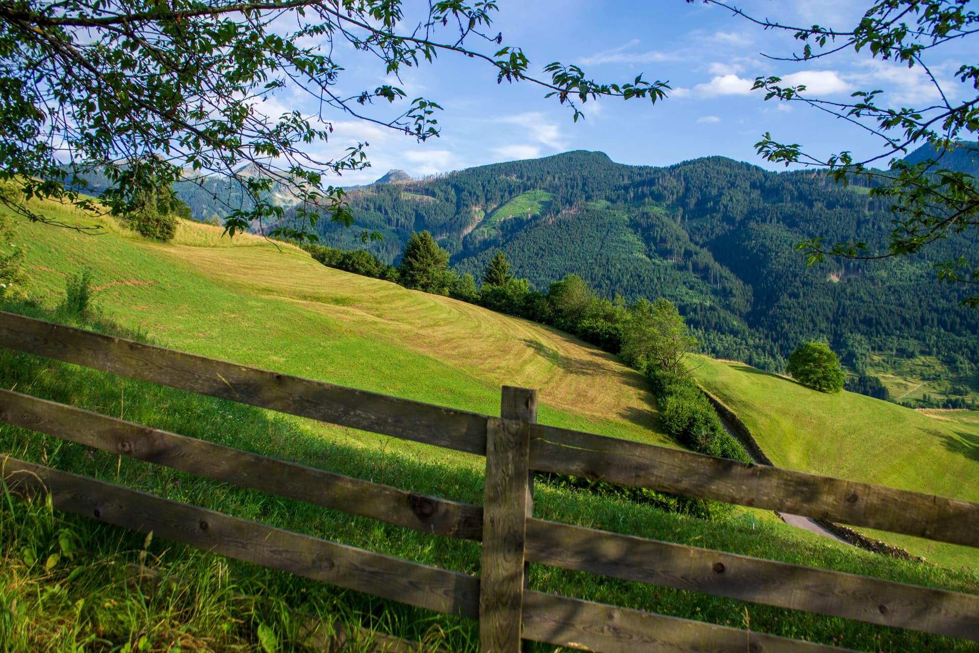 view of val di fiemme in trentino alto adige