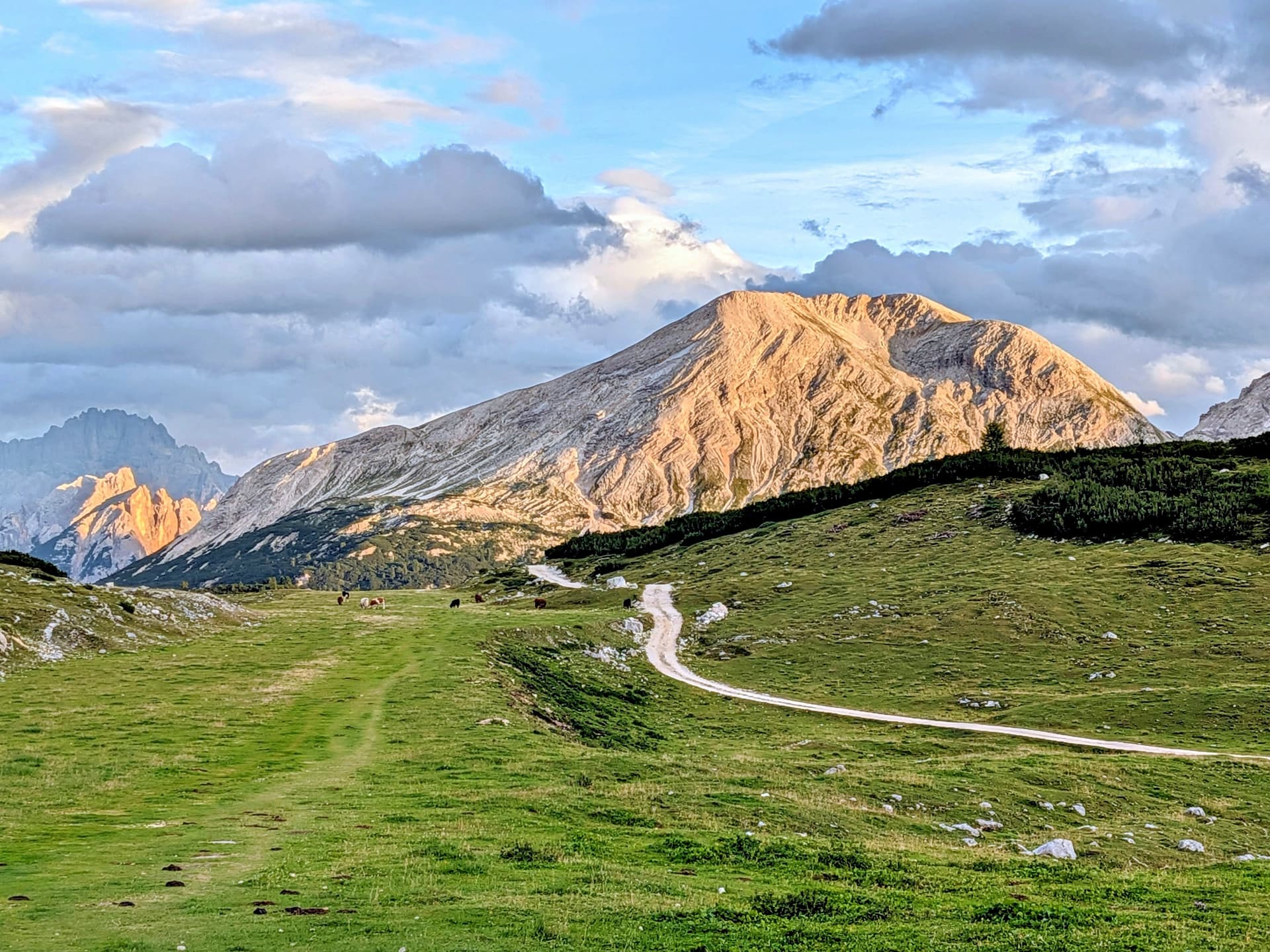 Evening light on mountain peak above green pasture with a winding dirt path
