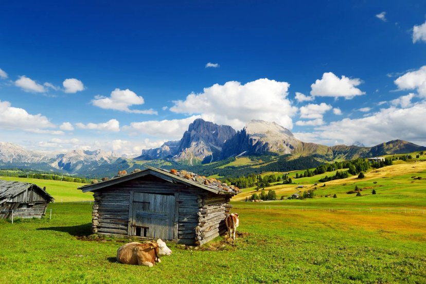 Alpe di Siusi Van Herberg naar Herberg Wandelen Dolomieten