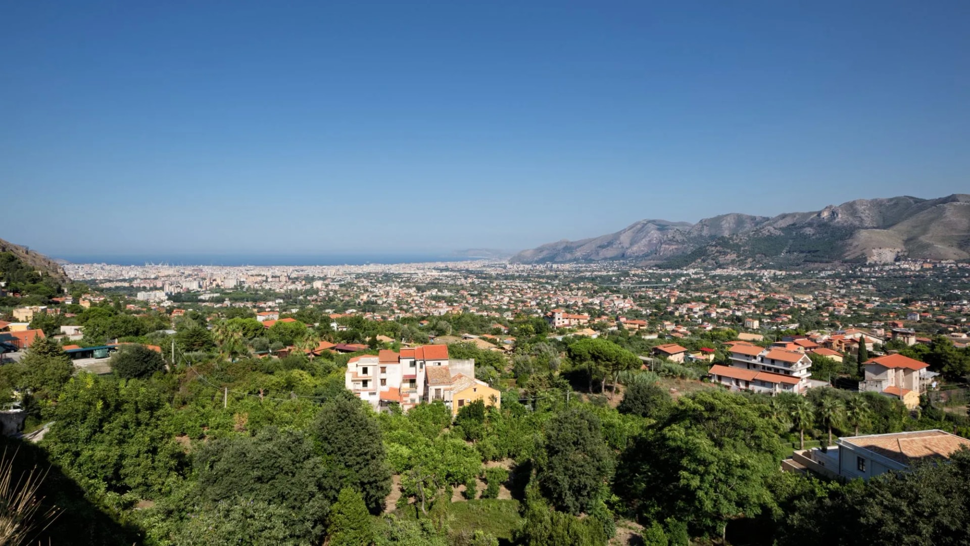 CONCA D'ORO