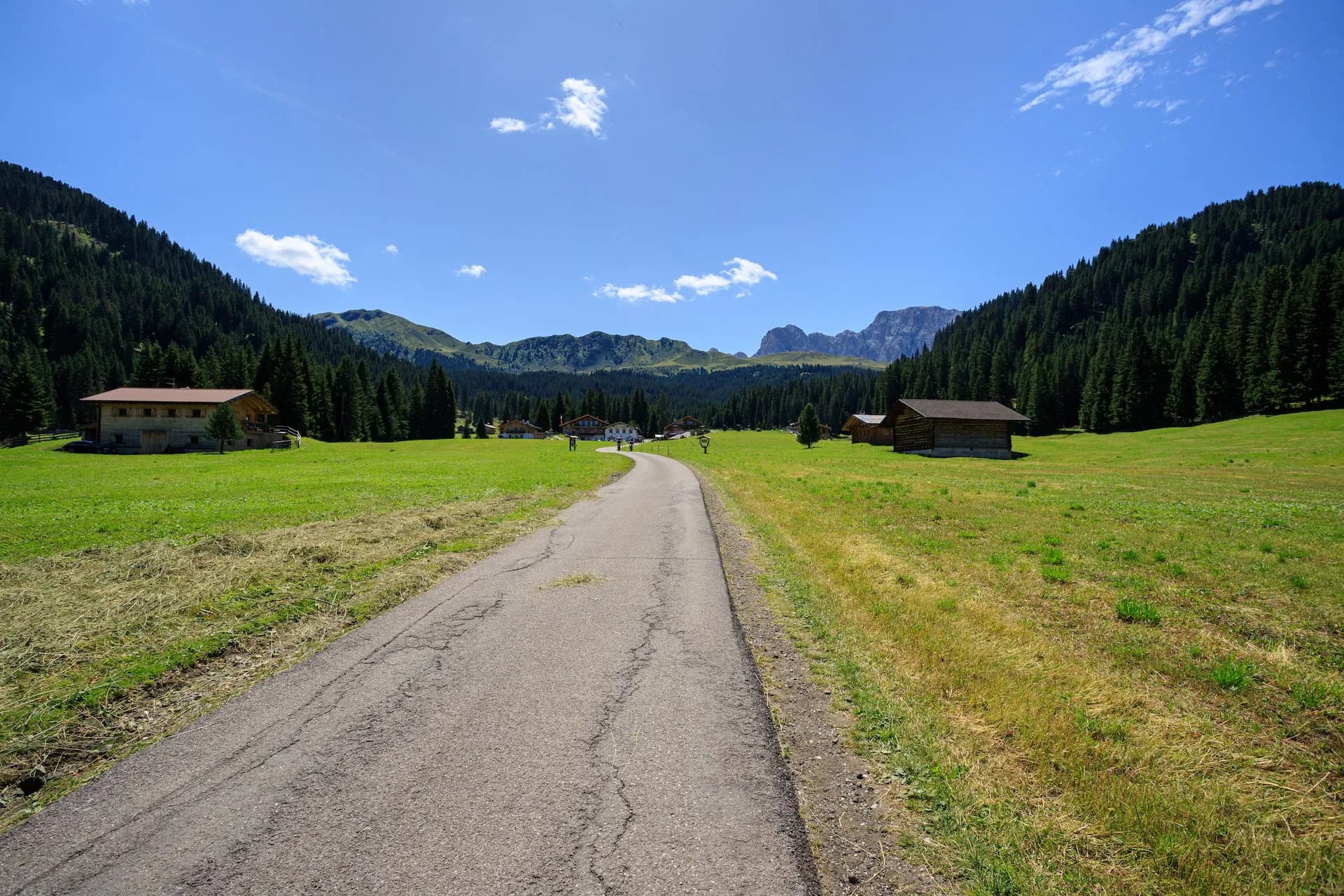 Paved road through green meadow toward alpine valley with wooden cabins and forested mountains