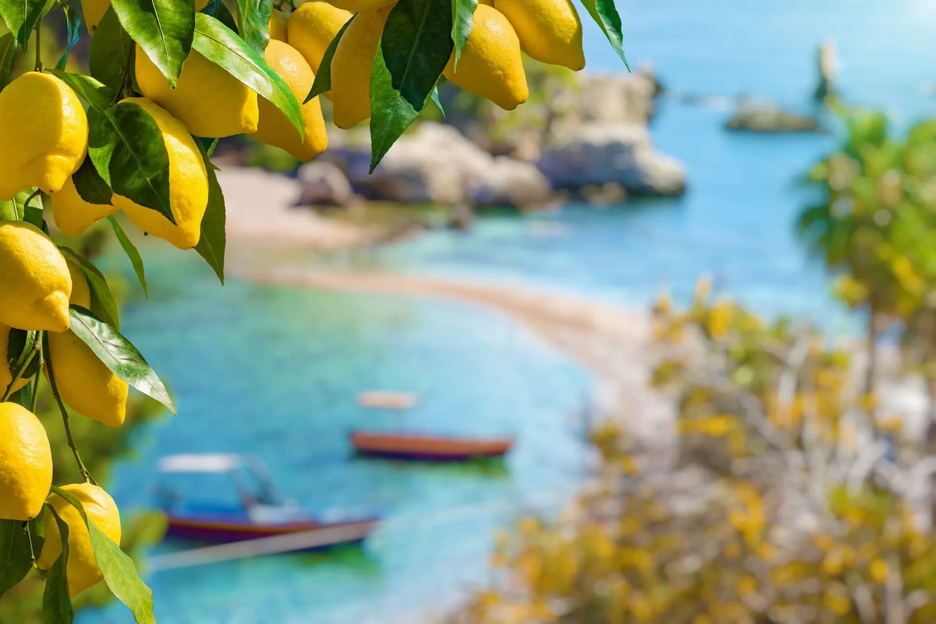 Lemons on a branch overlooking boats in turquoise Mediterranean coastal waters