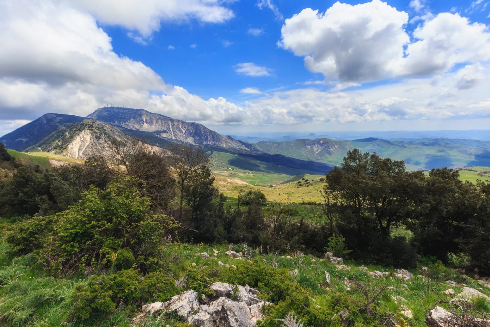 Green Hill Landscape in Central Sicily near Cammarata Mountain in Spring