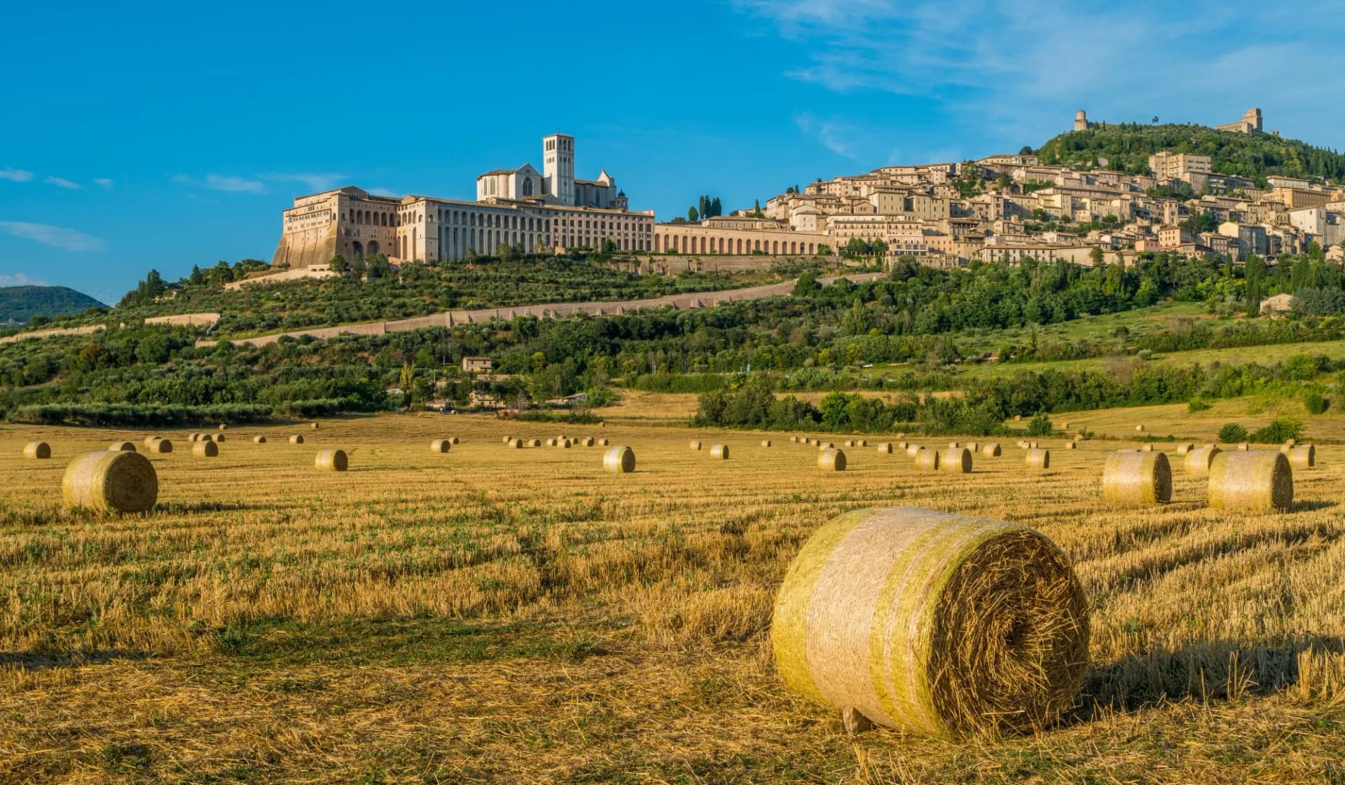 Panoramic view of Assisi, in the Province of Perugia, in the Umbria region of Italy.