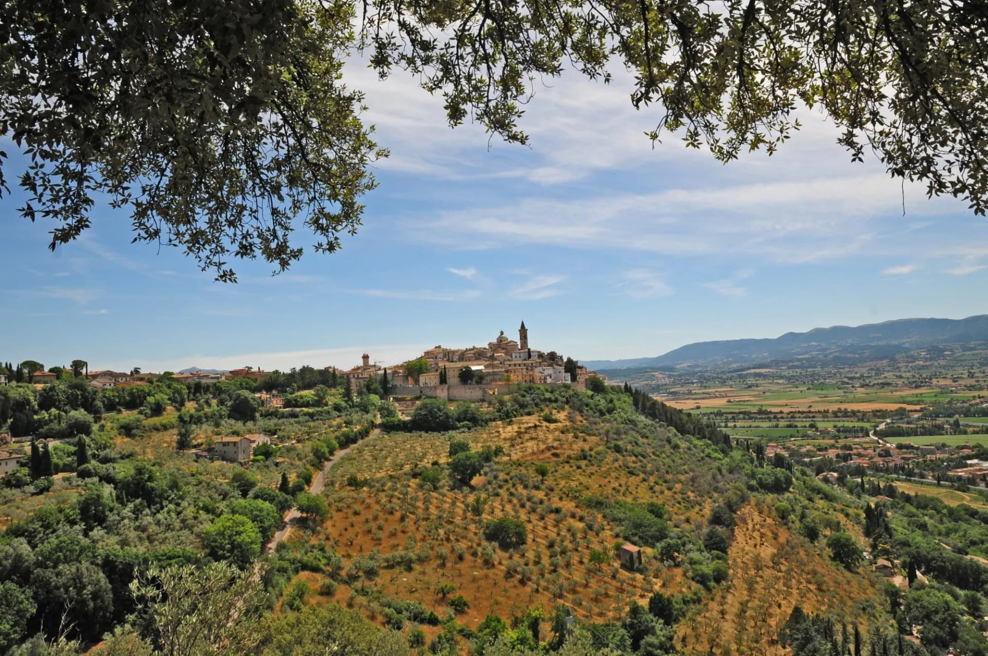 Le colline dell'Umbria verso Trevi