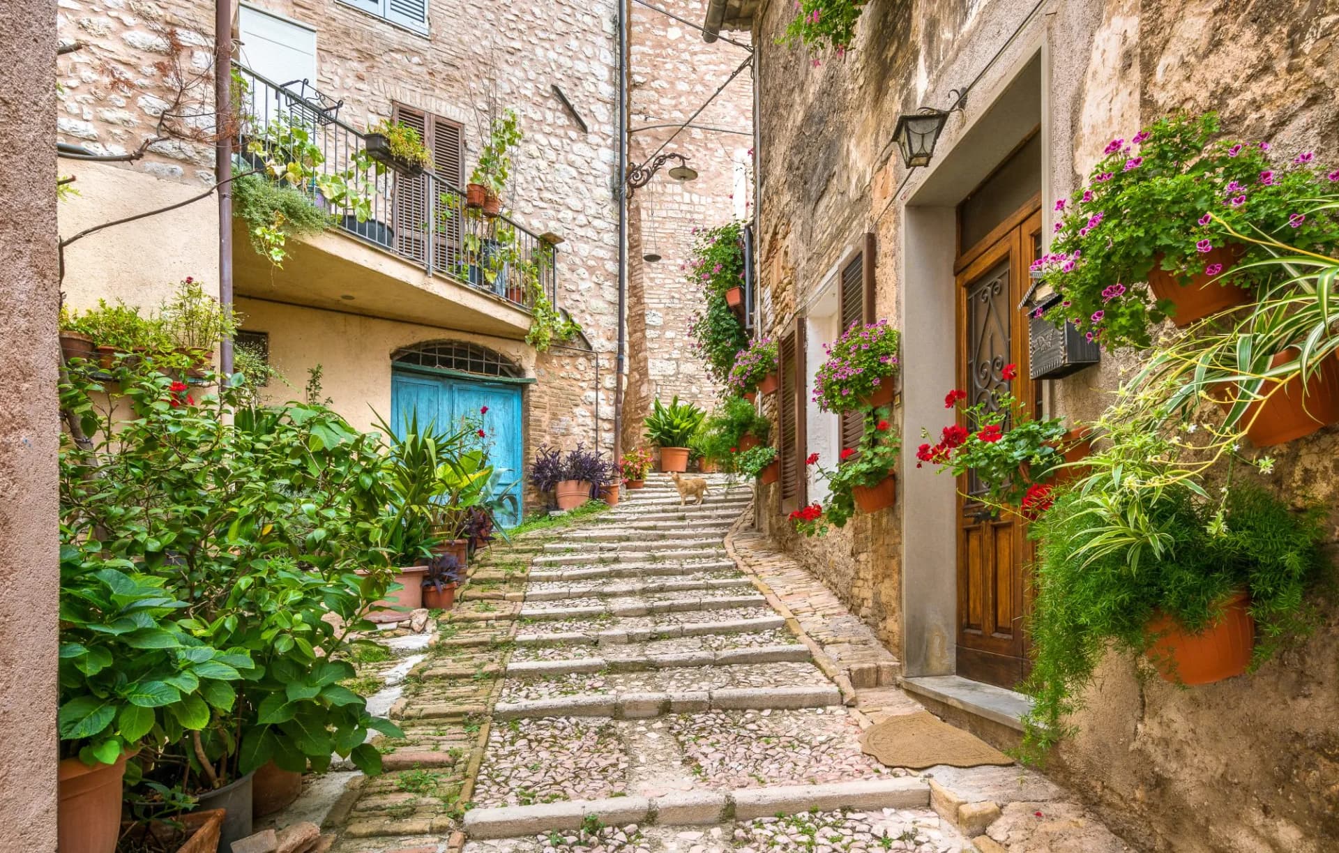 Picturesque stone staircase in Trevi ancient village, Umbria region, Italy, lined with potted plants.