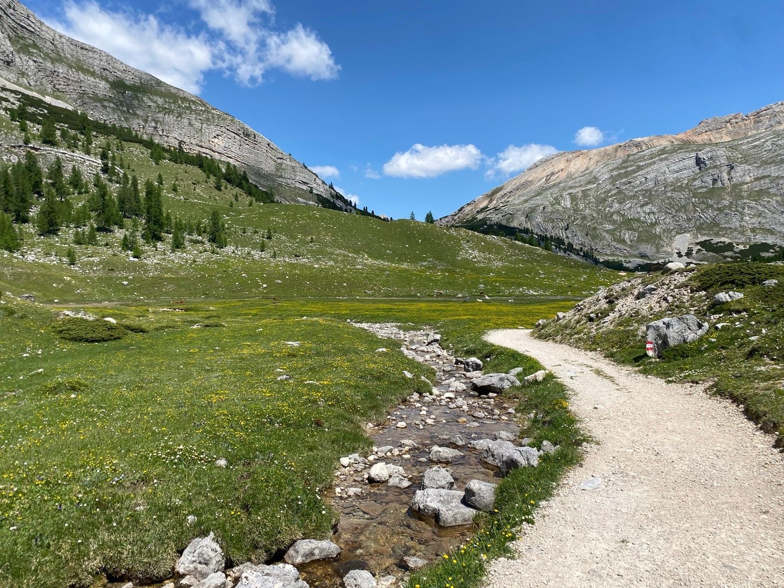 Gravel hiking trail, small stream, and green meadow with wildflowers beneath Fanes Plateau mountain peaks.