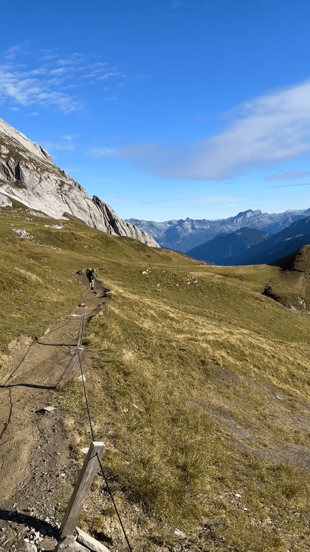 @hikingtours