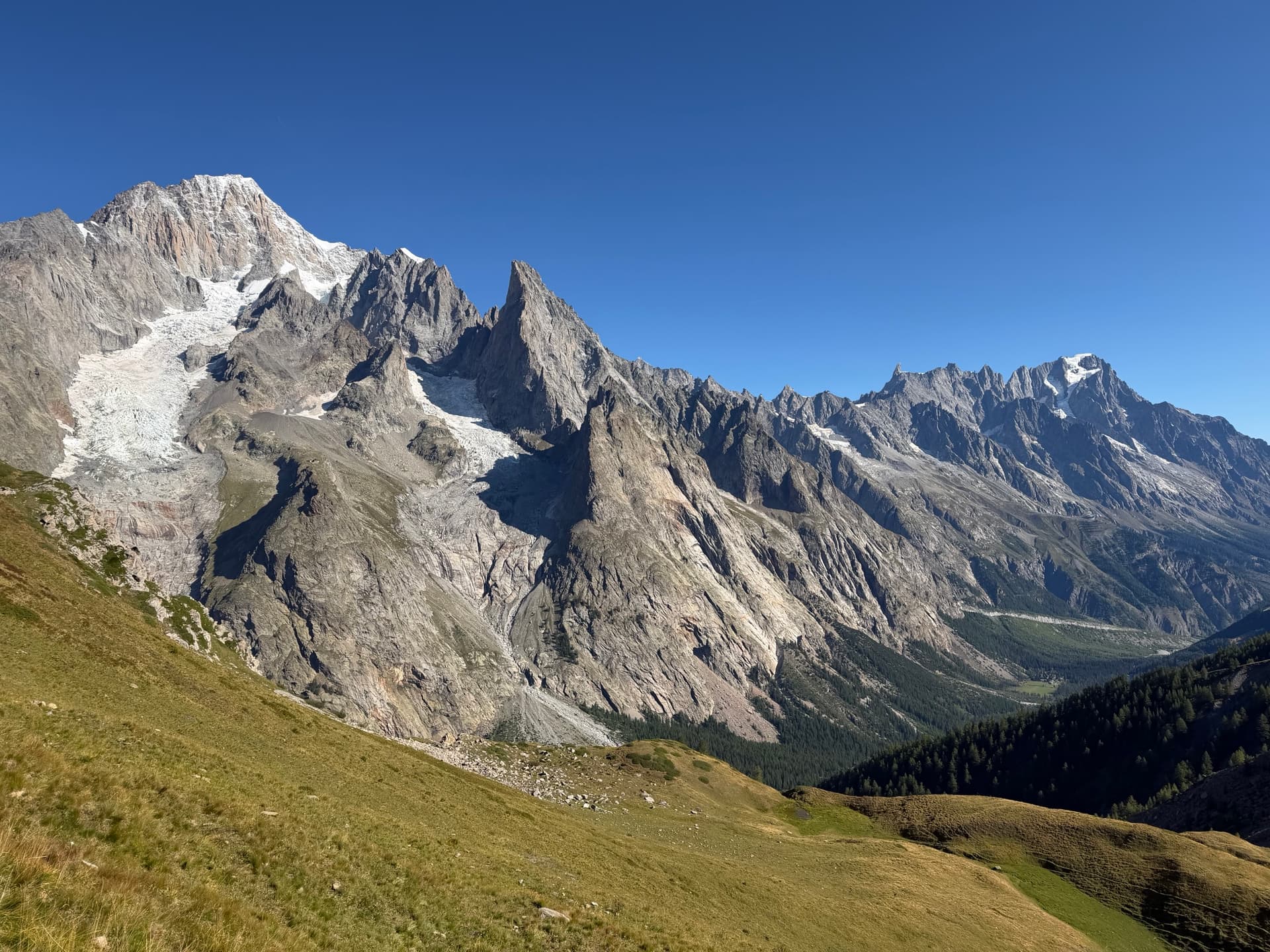 Glaciers of the Mont Blanc Massif with snow-covered mountain peaks and grassy alpine slopes