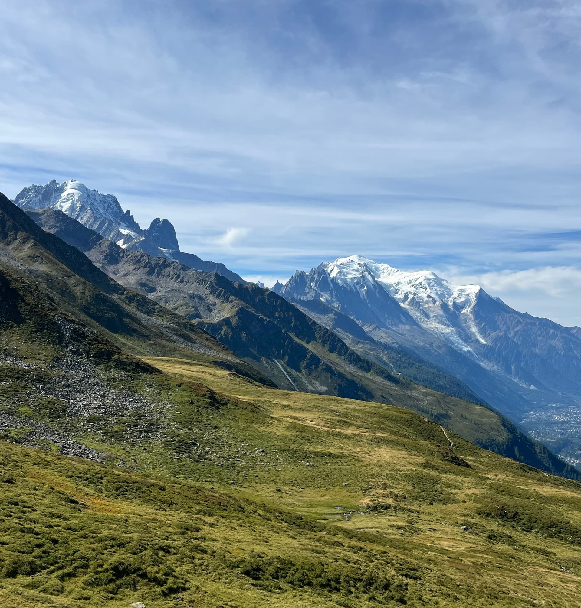 Mont Blanc viewed from a grassy alpine ridge under a cloudy blue sky