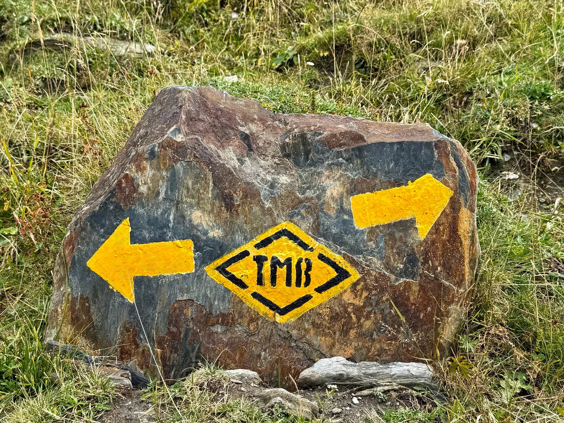 Yellow TMB trail waymark painted on a rock with arrows pointing left and right in a grassy field