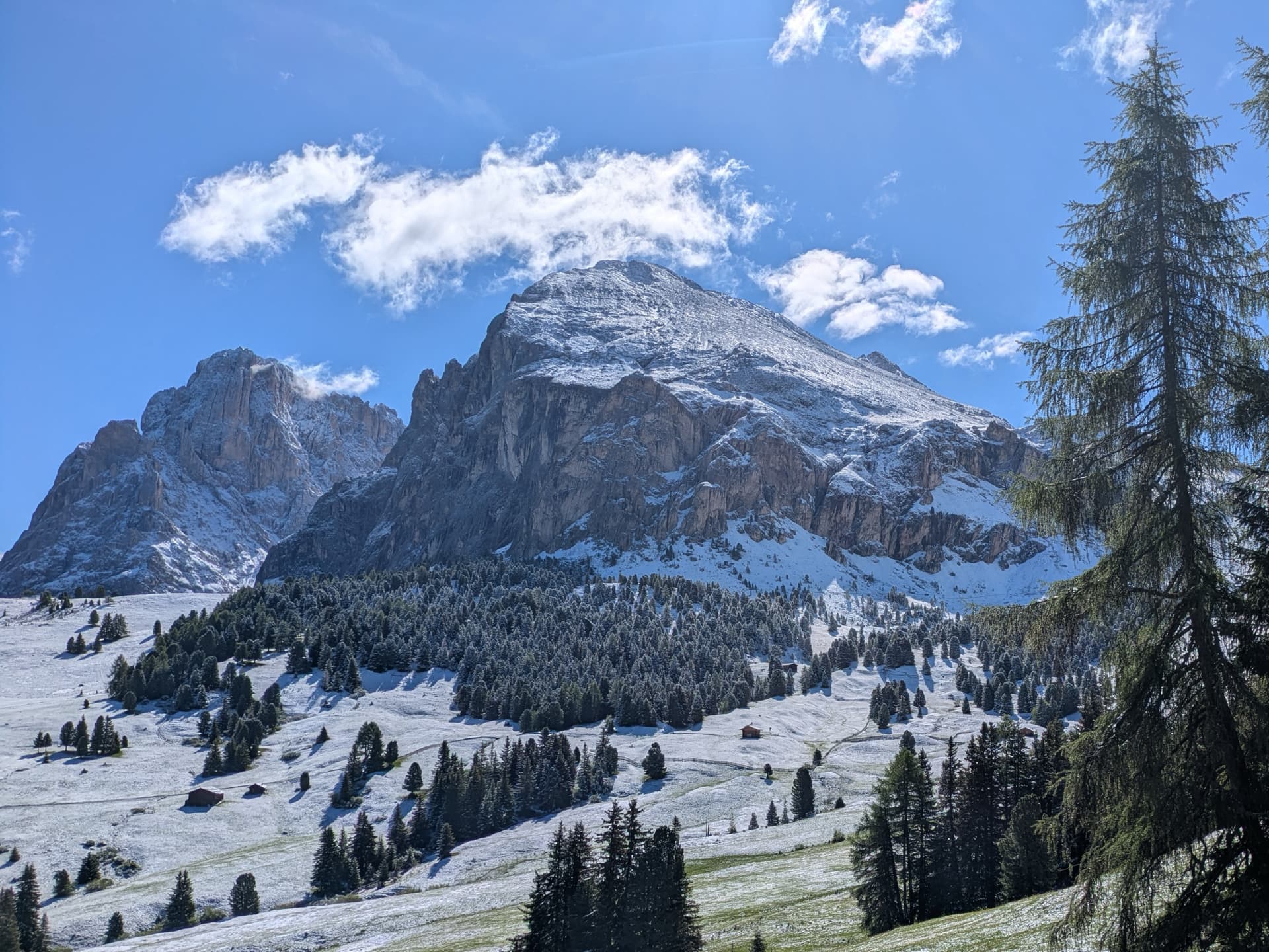 Snow-dusted alpine meadows and pine trees below rocky mountain peaks under a blue sky
